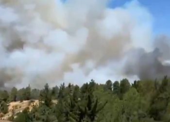 Se mantiene Alerta Roja por calor extremo e incendios forestales en Ñuble