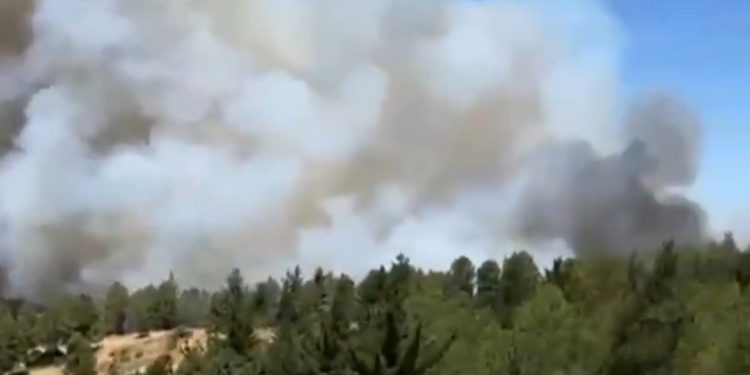 Se mantiene Alerta Roja por calor extremo e incendios forestales en Ñuble