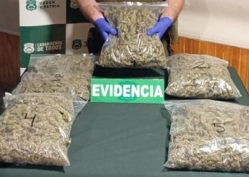 San Nicolás: Detienen a sujetos extranjeros que circulaban con más de 10 mil dosis de marihuana en su vehículo