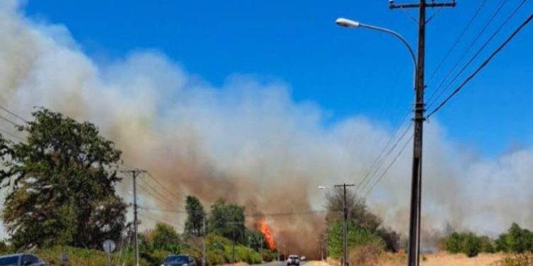 Detienen a 3 personas acusadas por el incendio forestal de Coihueco