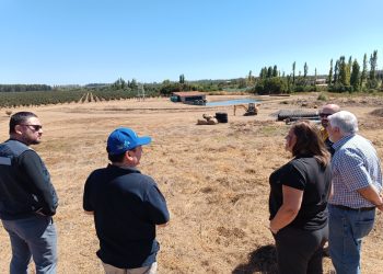 Ñuble y la revolución del riego eficiente: Proyectos innovadores reducen hasta un 80% el consumo energético y optimizan el uso del agua