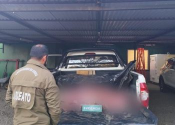 San Fabián: Desbaratan matadero ilegal y detienen a 3 sujetos por abigeato