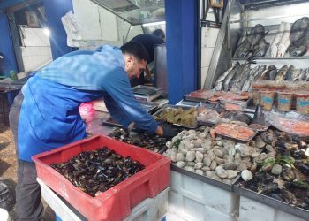 Autoridad Sanitaria refuerza fiscalizaciones en víspera de Semana Santa