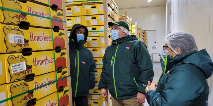 SAG Ñuble aumenta control fitosanitario de manzanas de exportación
