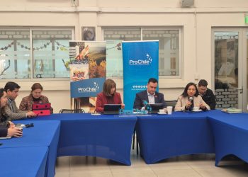 Mesa Comex de Ñuble abordó temas de logística portuaria para impulsar las exportaciones regionales