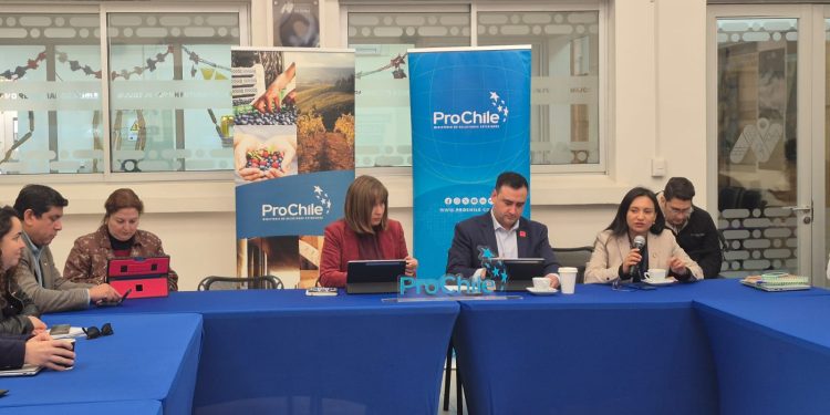 Mesa Comex de Ñuble abordó temas de logística portuaria para impulsar las exportaciones regionales