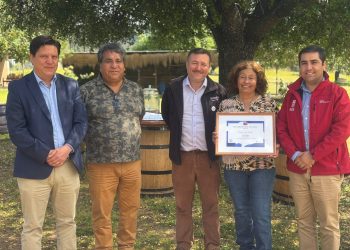 Vino, turismo y patrimonio: Chile y Ñuble reconocen a Viña El Quillay de Gladys Ponce Rosales