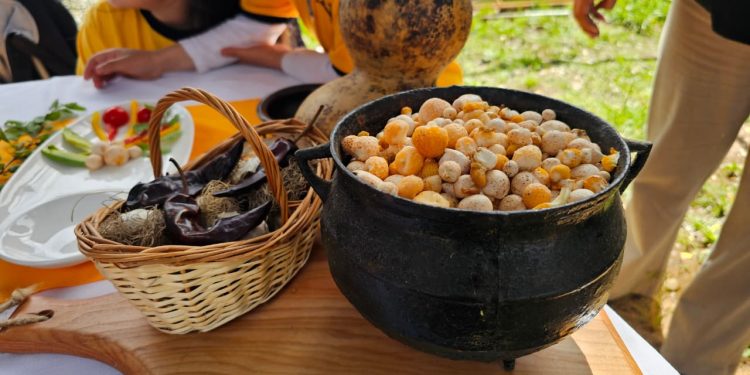 El Carmen: Fiesta del Digüeñe vivió su 5ª versión con múltiples preparaciones