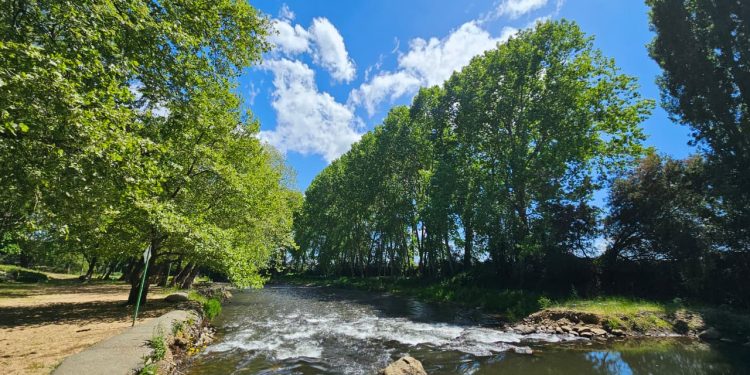 Confirman reapertura del Balneario Municipal de El Carmen
