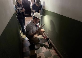 236 fiscalizaciones al procedimiento de desratización se han realizado en Ñuble