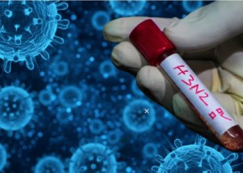 Primer caso de H3N2 en Chile fue detectado en Ñuble