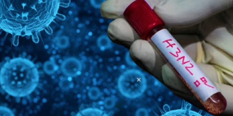 Primer caso de H3N2 en Chile fue detectado en Ñuble