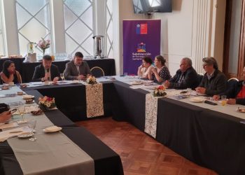 Consejo Consultivo Regional Ñuble realizó cuarta sesión para avanzar en Plan de Capacitación SSR 2026