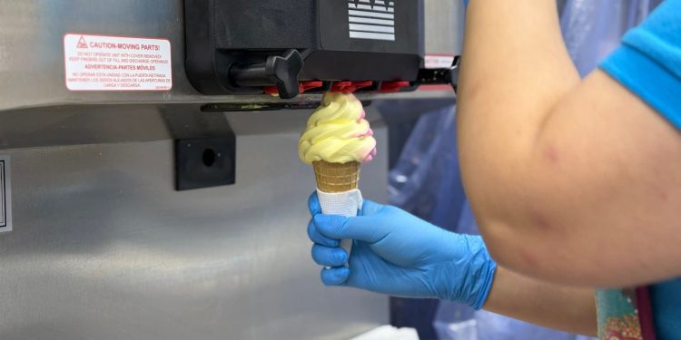 Seremi de Salud refuerza fiscalizaciones a heladerías e inicia sumarios sanitarios