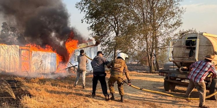 Incendios en Ñuble: 585 hectáreas quemadas y más de 700 personas evacuadas