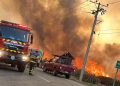 Incendios en Ñuble: 585 hectáreas quemadas y más de 700 personas evacuadas
