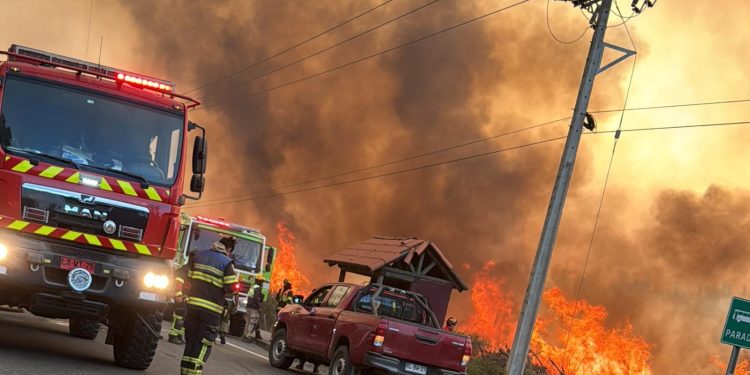 Incendios en Ñuble: 585 hectáreas quemadas y más de 700 personas evacuadas