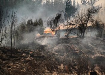 45 viviendas destruidas arroja primer reporte de fichas básicas de emergencia en Ñuble