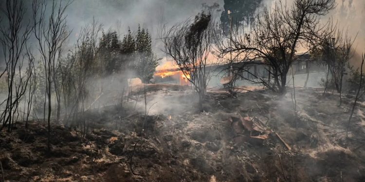 45 viviendas destruidas arroja primer reporte de fichas básicas de emergencia en Ñuble