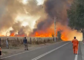 8 comunas de Ñuble bajo incendios forestales: Alerta Roja Regional