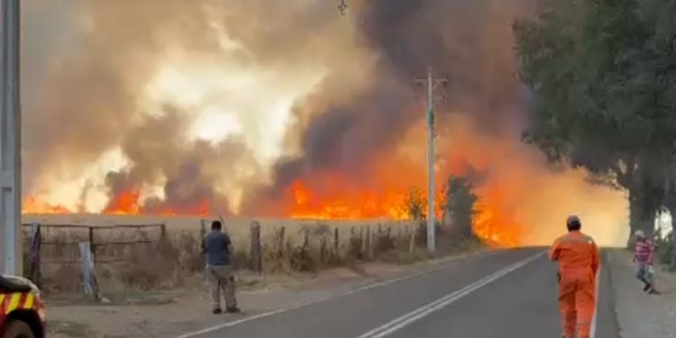 8 comunas de Ñuble bajo incendios forestales: Alerta Roja Regional