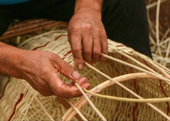El mimbre de Roblería es reconocido como Patrimonio Cultural Inmaterial