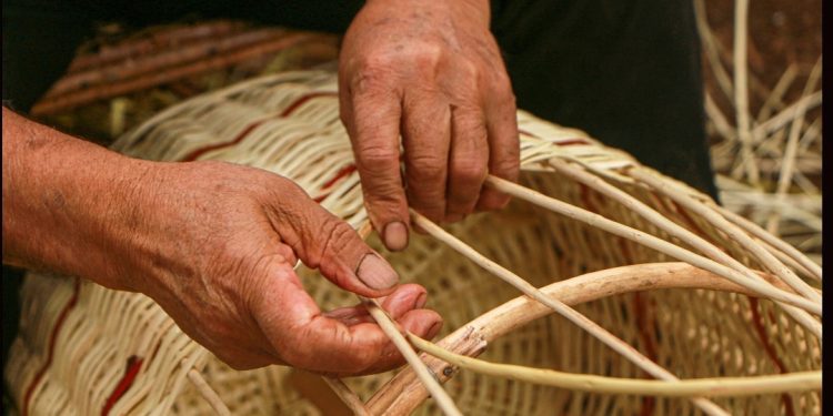 El mimbre de Roblería es reconocido como Patrimonio Cultural Inmaterial