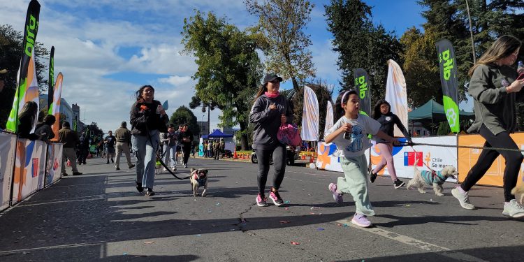 Corrida familiar y caminata canina marcaron celebración de los 99 años de Carabineros con masiva participación