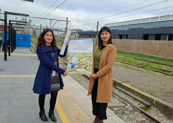 Municipio de Chillán y EFE revivirán el ramal a Confluencia