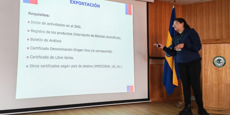 Capacitan a productores de vinos de Ñuble sobre certificación de bebidas alcohólicas de exportación