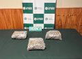 Refuerzan controles integrales en ruta y OS7 de Carabineros evita ingreso de más de 6 mil dosis de droga a Ñuble