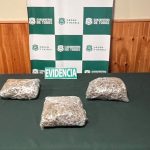 Refuerzan controles integrales en ruta y OS7 de Carabineros evita ingreso de más de 6 mil dosis de droga a Ñuble