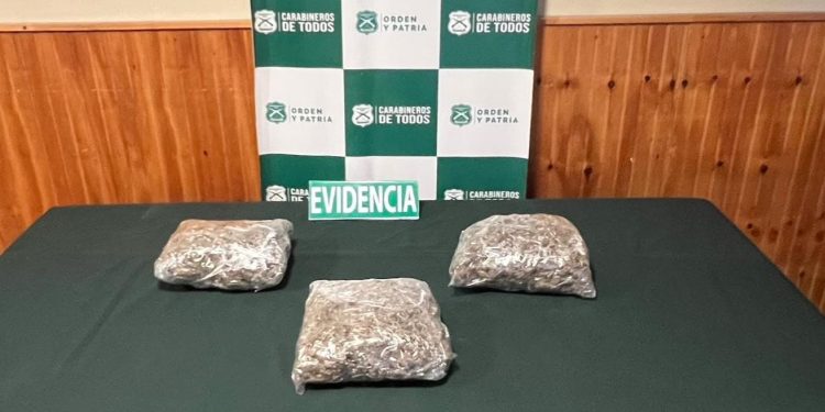 Refuerzan controles integrales en ruta y OS7 de Carabineros evita ingreso de más de 6 mil dosis de droga a Ñuble