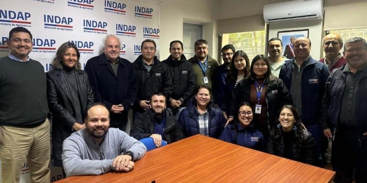 INDAP Ñuble y Subdirección Nacional fortalecen coordinación para avanzar en una estrategia regional